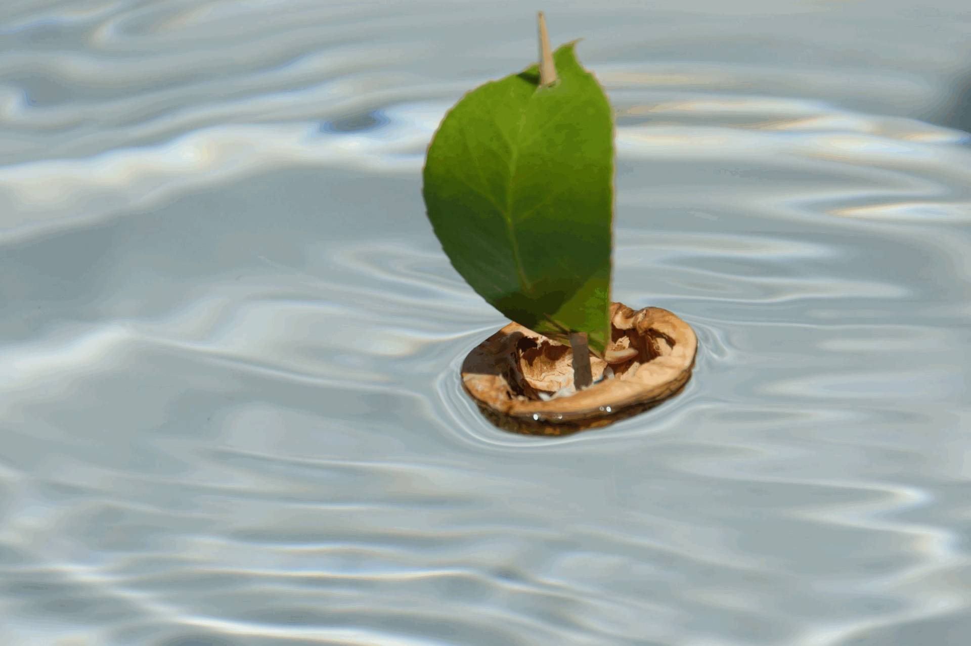 Piscine Desjoyaux Sostenibilità
